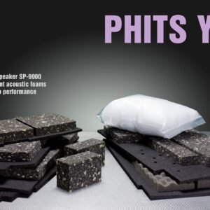 Phits Y9K